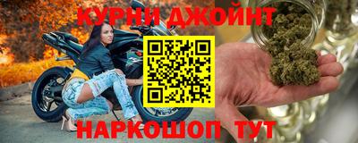 PSILOCYBIN Гатчина