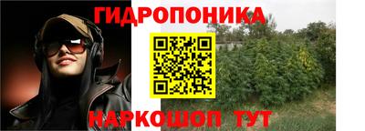 PSILOCYBIN Гатчина