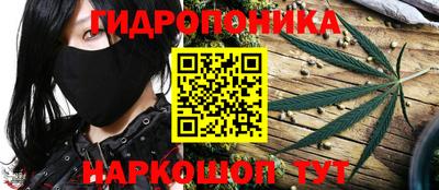 PSILOCYBIN Гатчина
