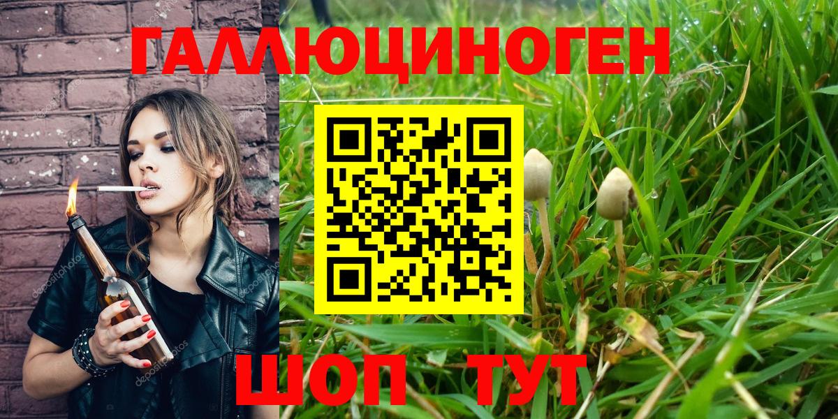 Псилоцибиновые грибы мицелий  Псилоцибиновые грибы Magic Shrooms  Вход с VPN  купить  цена  Саки 